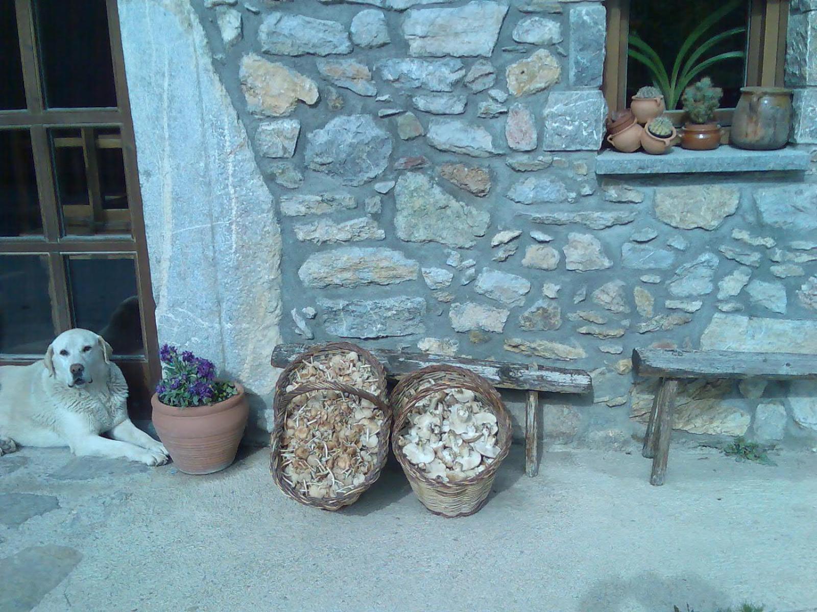 Els Torrents Hotel Bellver De Cerdanya Exterior photo