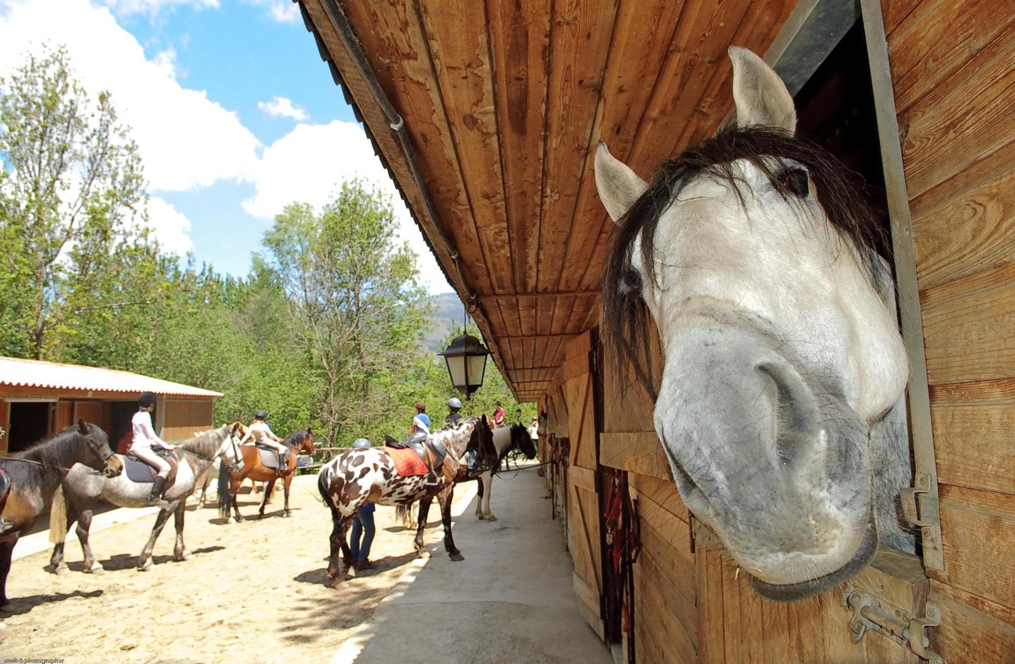 Els Torrents Hotel Bellver De Cerdanya Exterior photo